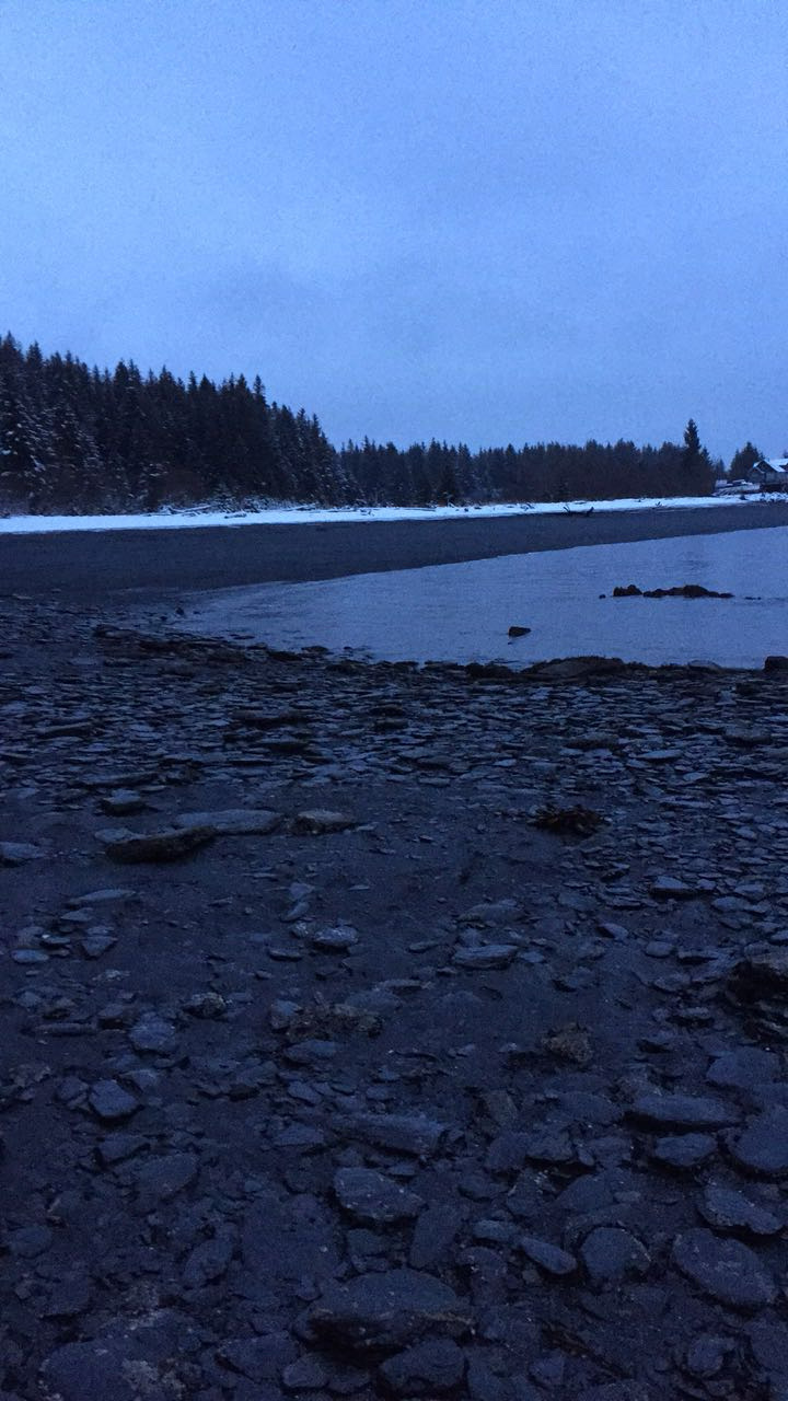 A black sand beach in Seward, Alaska