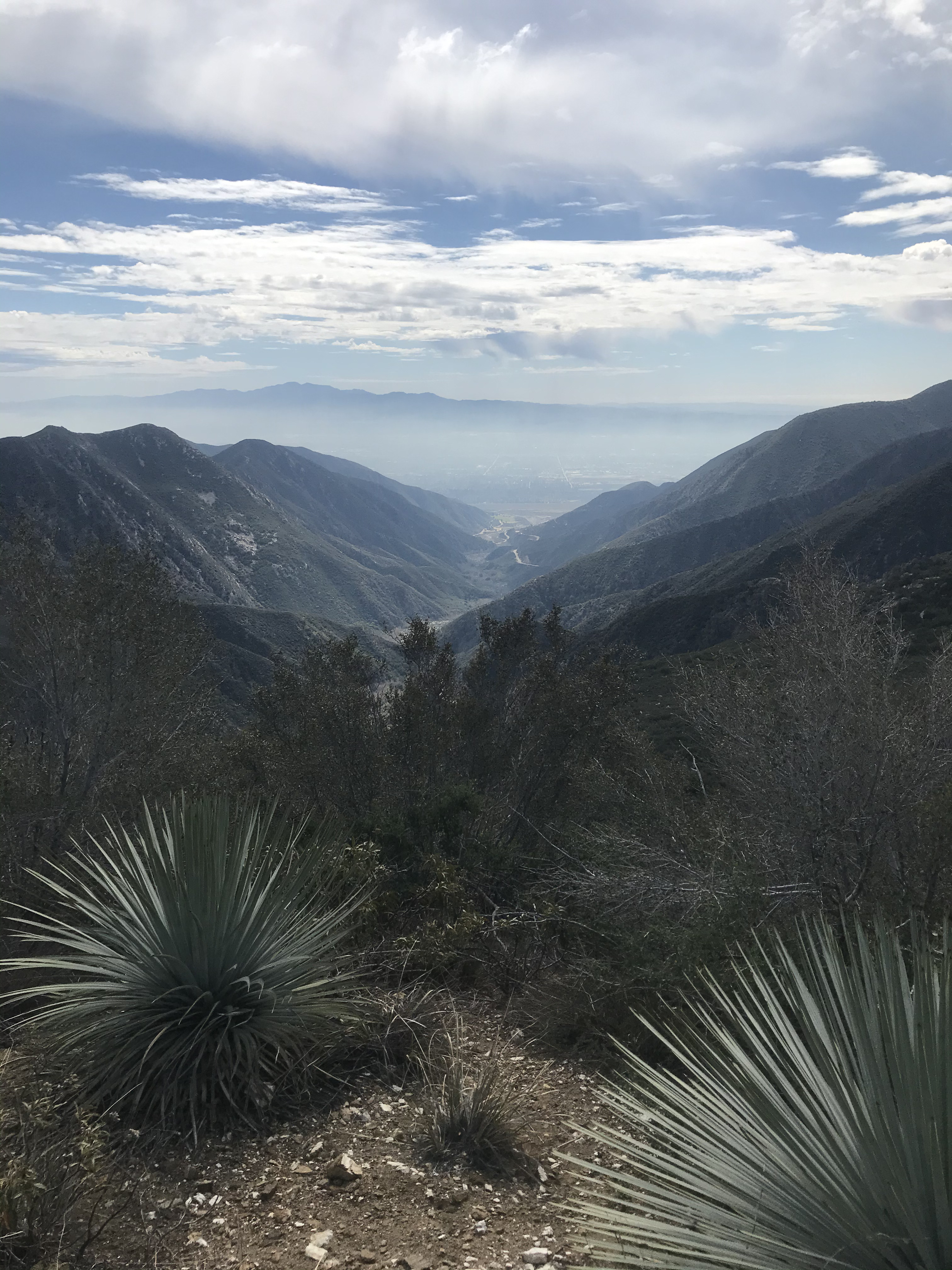 View of the San Gabriel Valley from atop Mt. Baldy in California