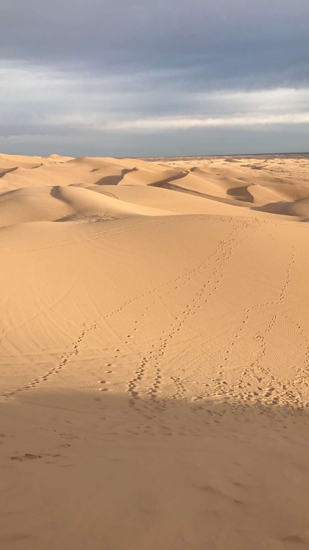 The Imperial Sand Dunes